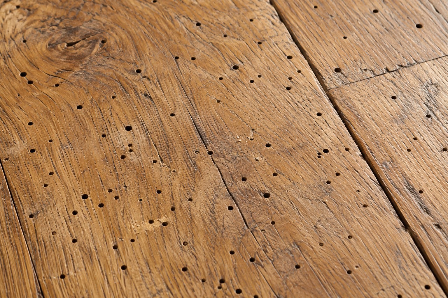 Close-up of woodworm holes in timber